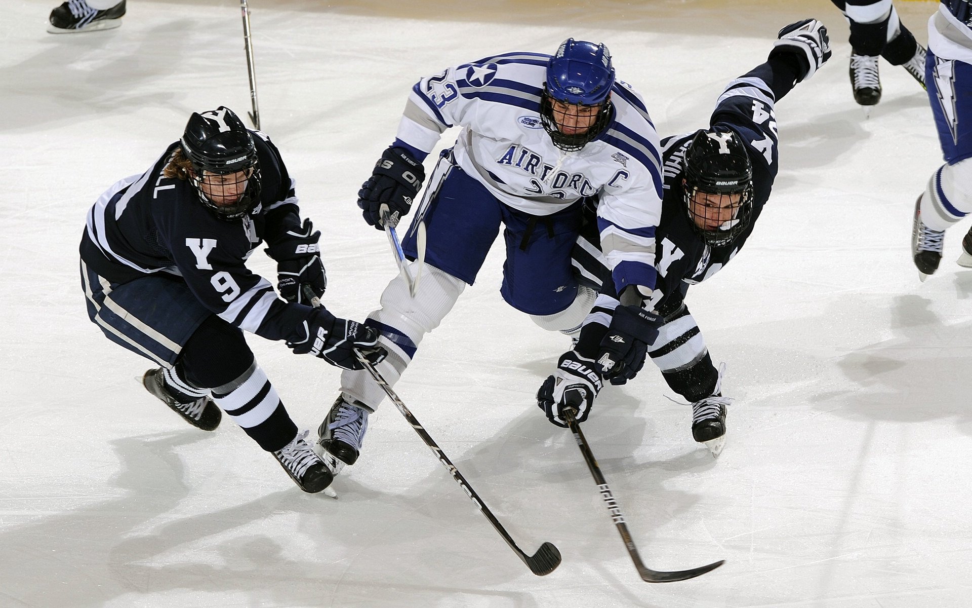 开云体育入口-拉梅洛·雷霆，当硬仗之王在东北虎的围猎中淬火
