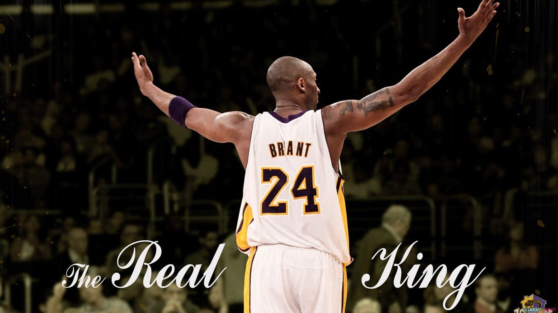 开拓者火力压制公牛，德罗赞成为关键先生，当沉默杀手撕碎玫瑰之城